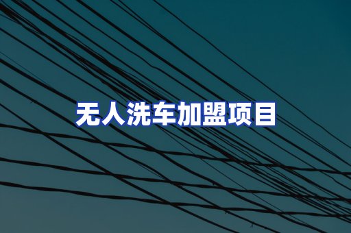 无人洗车加盟项目