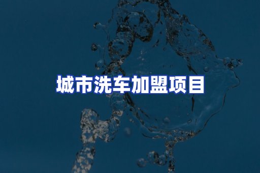 城市洗车加盟项目