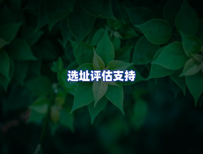 运营团队