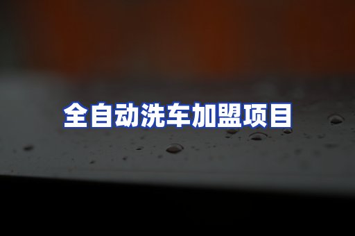 全自动洗车项目